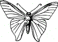 Details are in the pixels